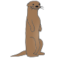 Otter Picture