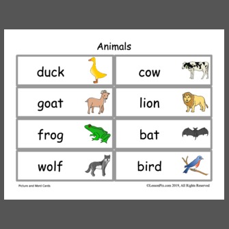 all animals names