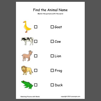 Find the Animal Name