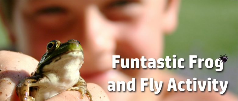 Header Image for Funtastic Frog and Fly Activity