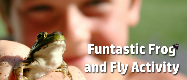 Funtastic Frog and Fly Activity