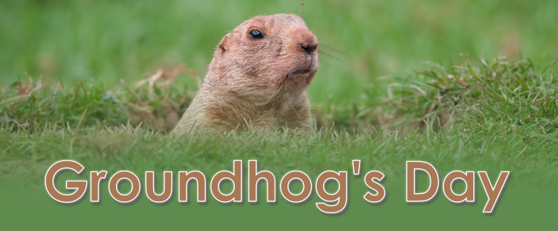Groundhogs Day Lesson Ideas