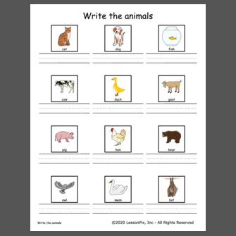 Write the animals' names
