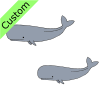 whales Picture