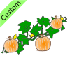 The pumpkins are ON the vine.