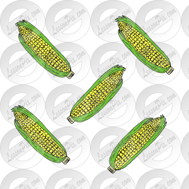 Five Corn Cobs Picture