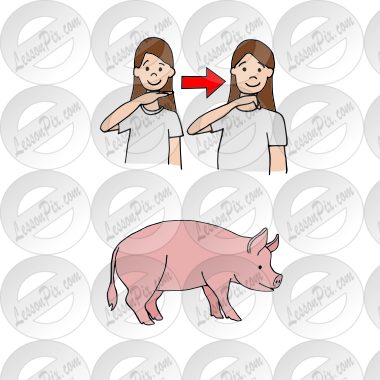 ASL pig Picture