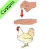 chicken+-+pollo Picture