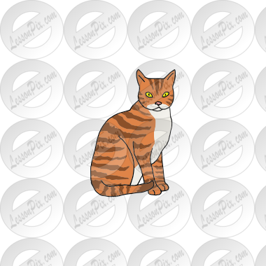 Tiger stripe cat Picture