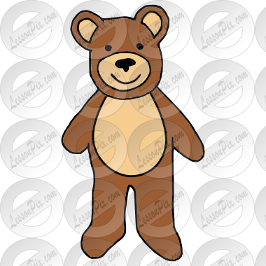 Teddy Bear Front Picture
