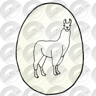 llama in egg Picture