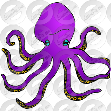 Octopus Picture