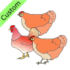 chickens Picture