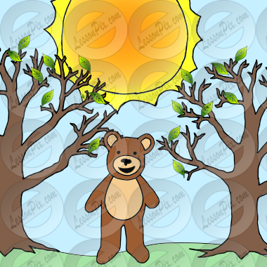 Spring Bear Picture