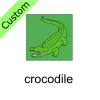 Crocodile Picture