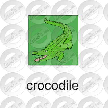 Crocodile Picture