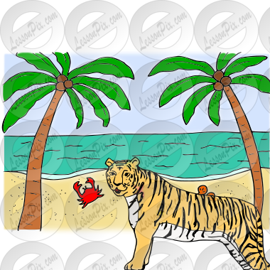 Tiger beach Picture