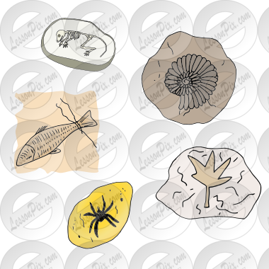 Fossils Picture for Classroom / Therapy Use - Great Fossils Clipart