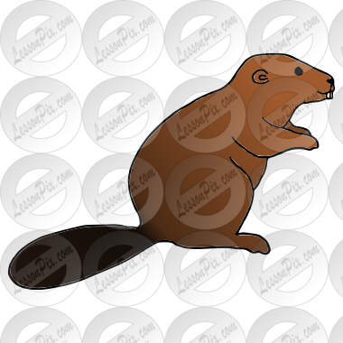Beaver Picture