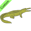 crocodile Picture