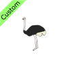 ostrich+%28short%29 Picture