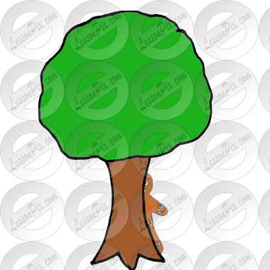 Behind the tree