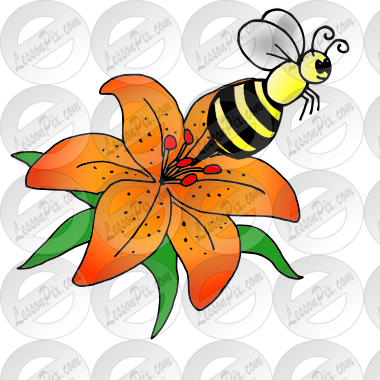 Pollinate Picture