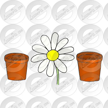Flower between pots Picture