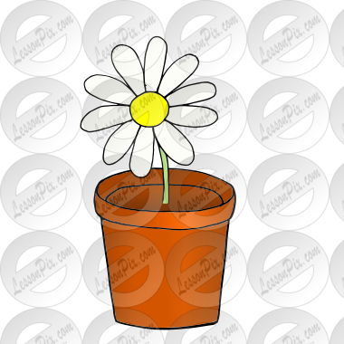 Flower growing in  pot Picture