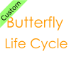 Butterfly+Life+Cycle Picture