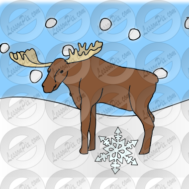 Snow under moose Picture