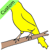 A+bird+can+be+yellow. Picture