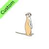 meerkat Picture