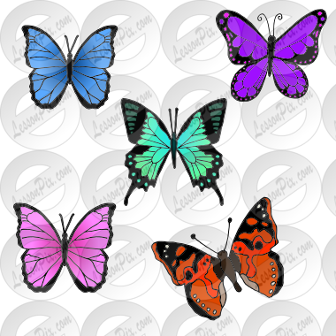 5 butterflies Picture