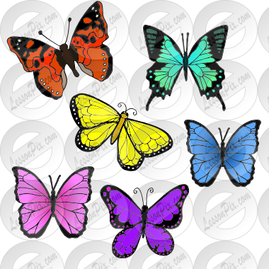 6 butterflies Picture