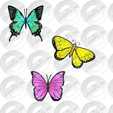 3 butterflies Picture