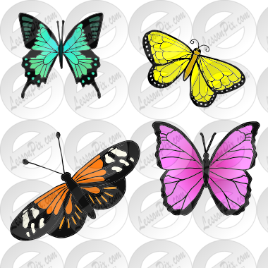 4 butterflies Picture