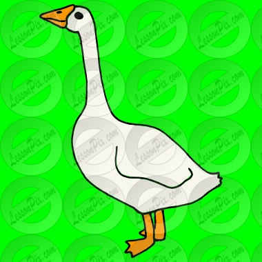 Goose Picture
