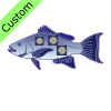 Lanternfish Picture