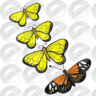 the new butterflies migrate Picture