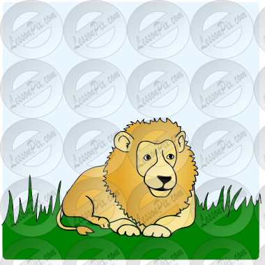 Lion on grass Picture
