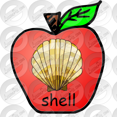 shell Picture