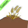 Seed+Grew Picture