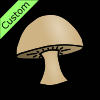 Mushroom Picture