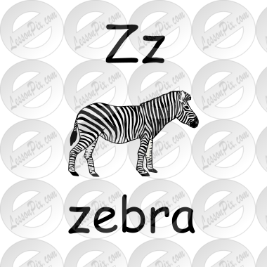 Zz zebra Picture