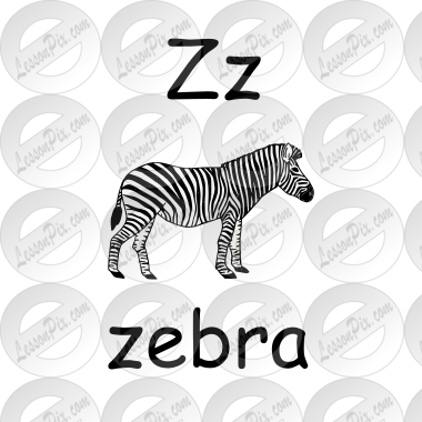 Zz zebra