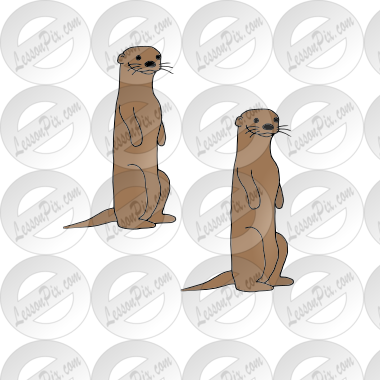 Otters Picture
