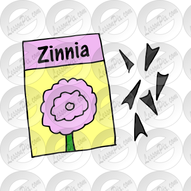 Zinnia Seeds