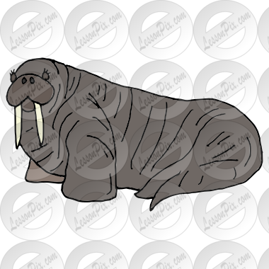 Walrus Picture for Classroom / Therapy Use - Great Walrus Clipart