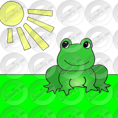 frog sun Picture